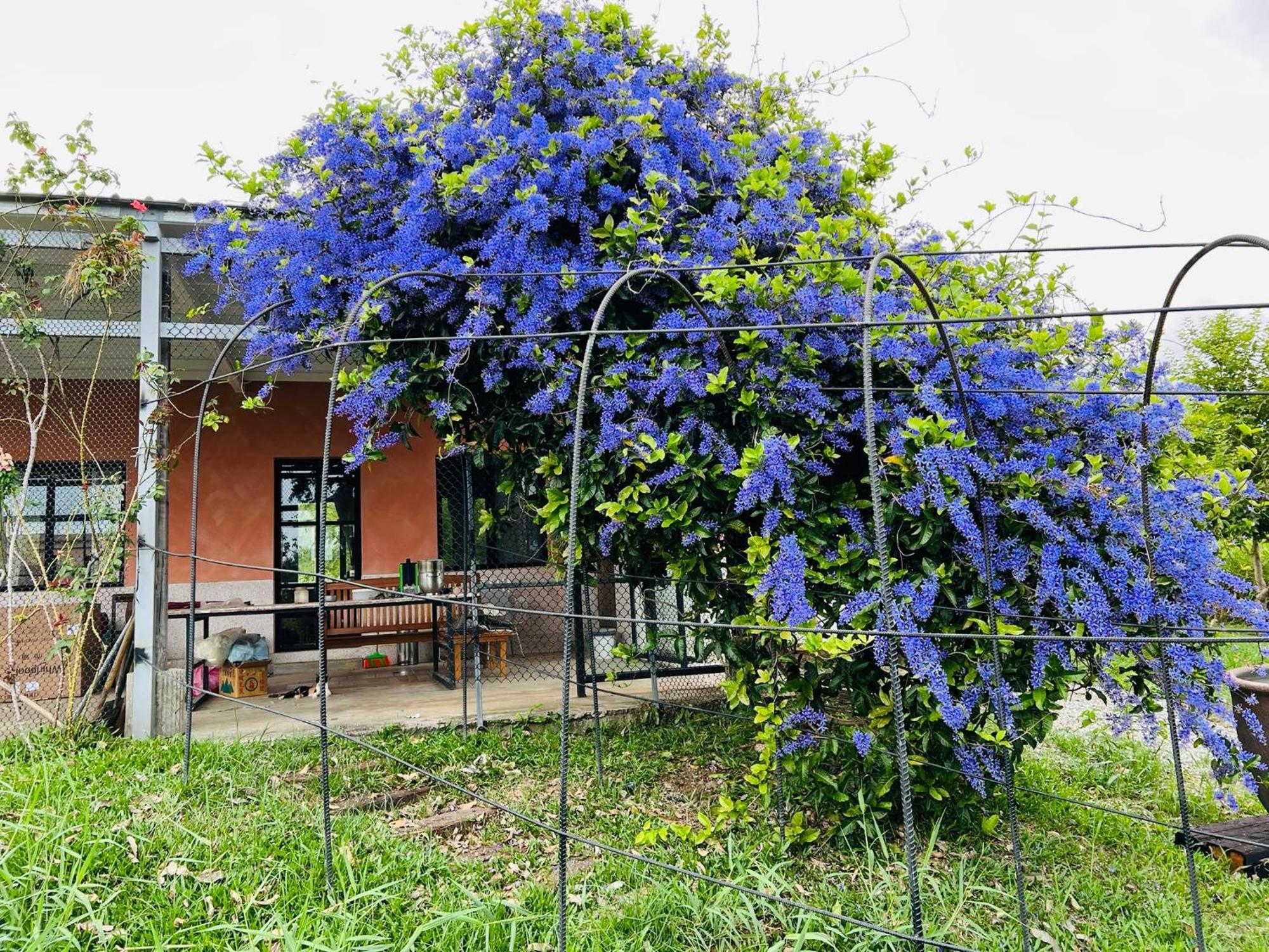 Moshang Caoxun Changbin Exterior photo